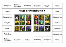 Bingo-Frühlingsblüten-1.pdf